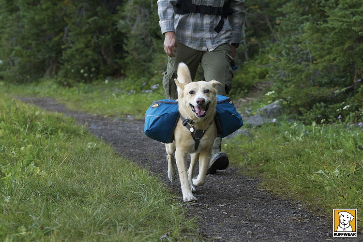アプローチパック 犬用バッグ 犬と一緒のアウトドアライフ【ラフウェア RuffWear】