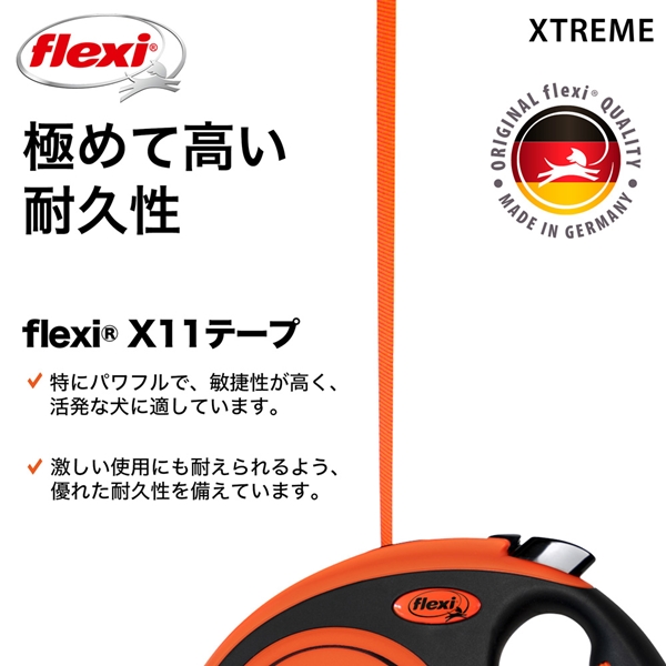 GNXg[