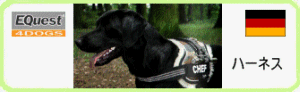 �h�C�cHolscher�Ђ̌��p�n�[�l�X�ł��B