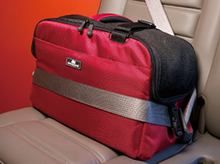 Sleepypod Atom