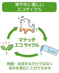 マナッチ