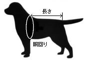 K-9 �t���[�g�R�[�g